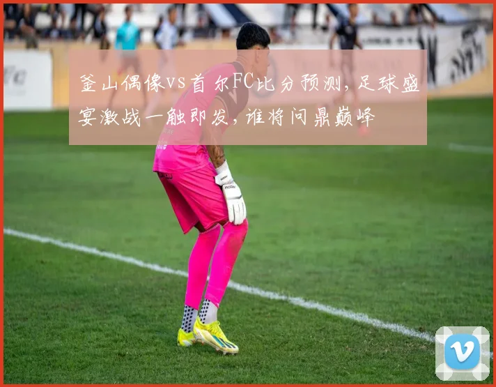 釜山偶像vs首尔FC比分预测,足球盛宴激战一触即发,谁将问鼎巅峰